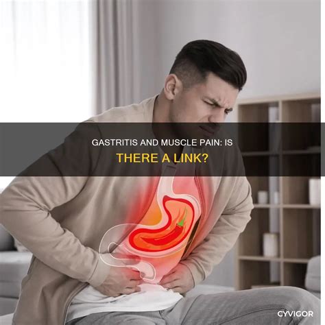 Gastritis And Muscle Pain: Is There A Link? | CyVigor