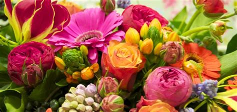 Flowers and Plants - Order here Indoor and Outdoor Flowers and Plants.