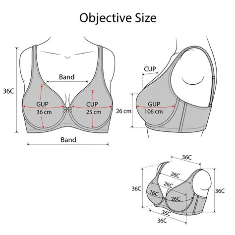 36C Bra Size Considered Big or Small - Bra Size Chart