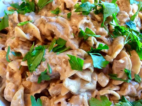 Shenandoah Gateway Farm: No Mushroom Beef Stroganoff