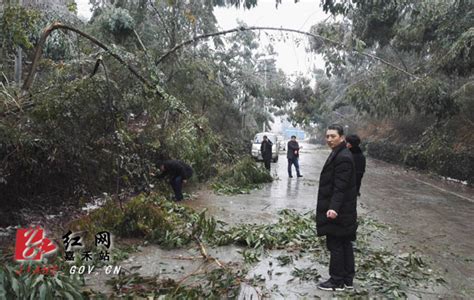 塘村镇迅速处置嘉蓝路断树挡路交通隐患_乡镇资讯_嘉禾网