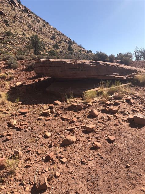 Image result for Loop Pimple