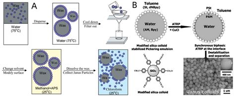 Application of Janus Particles in Point-of-Care Testing
