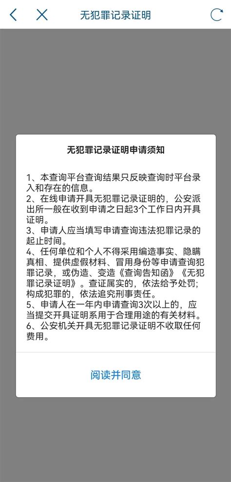 无犯罪记录证明可以网上办理！（附申请指南）_页面_进行_申请人