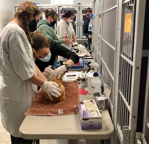 Grant from PetSmart helps Massachusetts group address access to ...