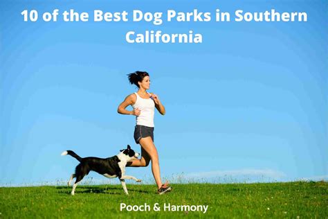 10 Impressive Dog Parks in Southern California - Pooch & Harmony