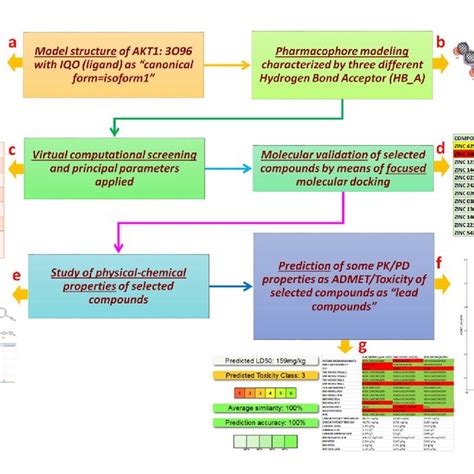 Image result for Parallel Screening