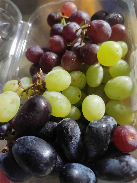 Fresh Grapes Tri Color Combo (Green, Red & Black) 500 gm : Amazon.in ...