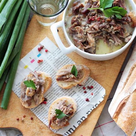 rillettes de canard express