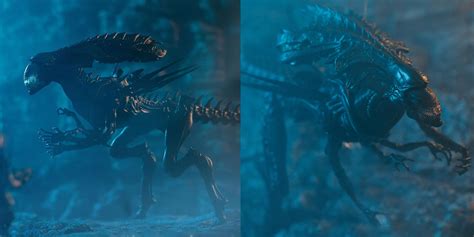 Image result for Alien vs Predator Scar Alien Queen