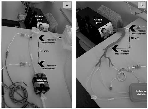 Mathematical Model Based on the Shape of Pulse Waves Measured at a ...
