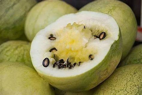 西瓜子, 西瓜子, 瓜子 供应 - 广华农产品有限公司