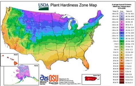 Ta da! Welcome to 6a | Garden Rant | Plant hardiness zone map, Plant ...