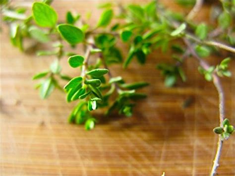 Creative Farmer Herb Heirloom - Common Thyme Kitchen Garden Pack ...