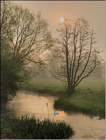 Belle Nature 的图像结果