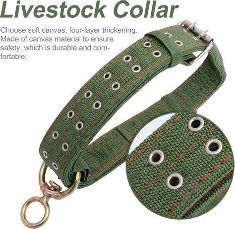 Buy Hemoton Cattle Collar Canvas Adjustable Cow Neck Strap Calf Neck ...