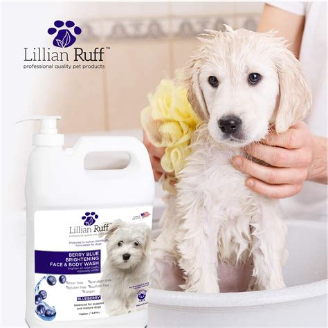 Buy Lillian Ruff Berry Blue Brightening Face and Body Wash for Dogs and ...