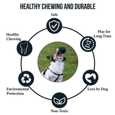 Goofy Tails Extreme Natural Rubber Ball for Dogs | Durable Ball for ...