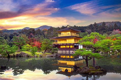 [Kyoto In-Depth Tour] Nijo Castle + Kinkaku-ji (Golden Pavilion ...