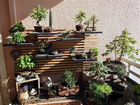 Bonsai - Bringing the Outside In