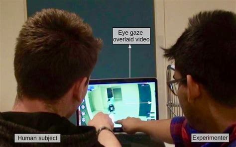 Stimulated Recall Interview Icon 的图像结果