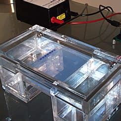 Buy Products used for Electrophoresis online at Best Price | Biomall India