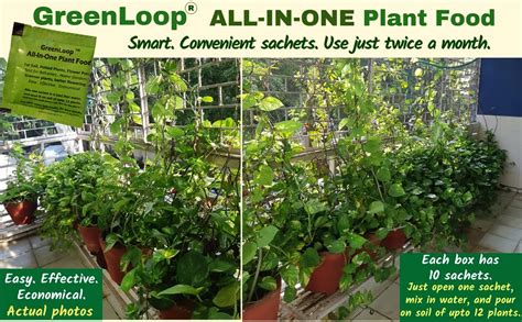 GREENLOOP-All In One Plant Food, For all House Plants, Complete Direct ...
