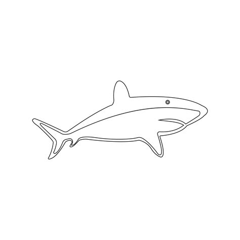 Shark Vector 的图像结果