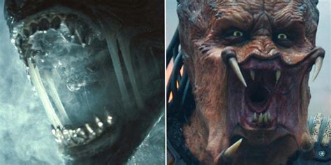 Image result for Alien vs Predator Reboot