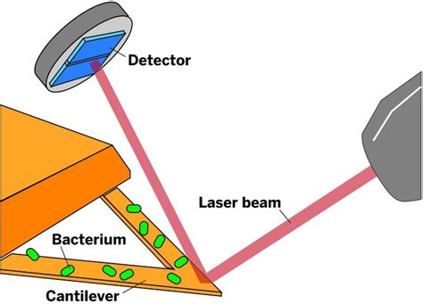 Image result for Bacteria Sensor Arduino