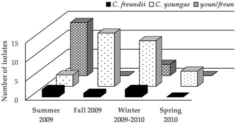 Microbiological Quality of Fresh Nopal Juice