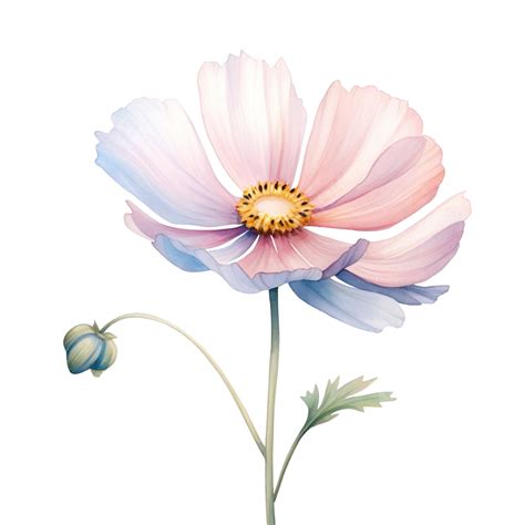 Simple Flower In Pastel Color, Flower, Nature, Floral PNG Transparent ...