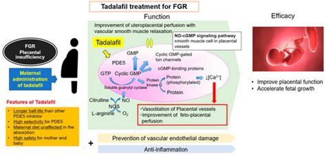 Biomedicines | Special Issue : Neonatal Disease: From Pathophysiology ...