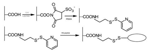 Modification of Alginates to Modulate Their Physic-Chemical Properties ...