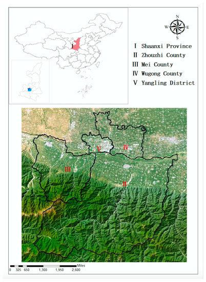 From Agricultural Green Production to Farmers’ Happiness: A Case Study ...
