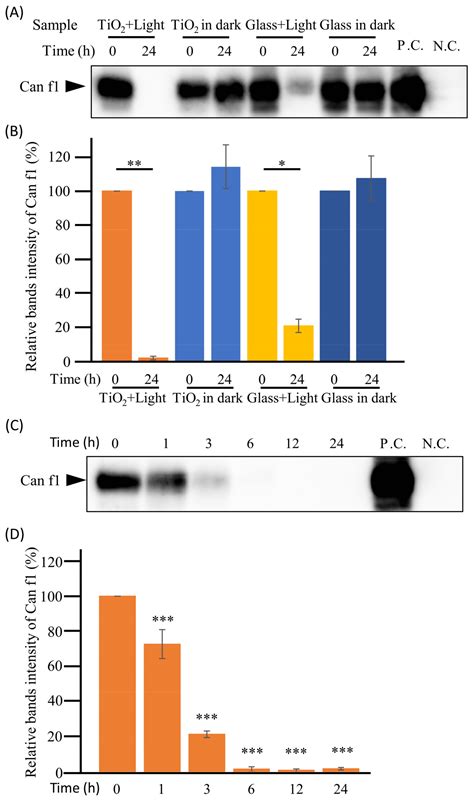 TiO2-Photocatalyst-Induced Degradation of Dog and Cat Allergens under ...