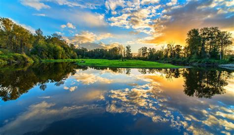 Image result for How to View MLO in Codewalker