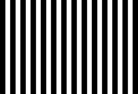 Black and White Vertical Stripes Wallpaper - Magicdecor®