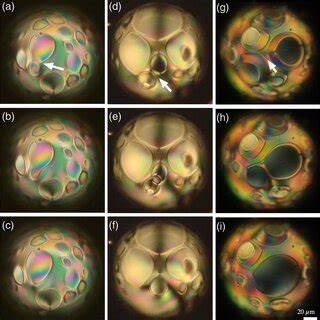 Image result for SpaceClaim Merging Shells