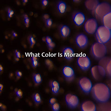 What Color Is Morado - colorscombo.com