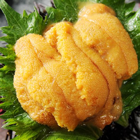 Perfect Sea Urchin Sushi: How to Use Uni for an Unforgettable Sushi Experience