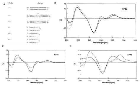 Conformational Changes in DNA upon Ligand Binding Monitored by Circular ...