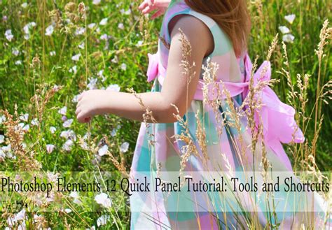 Image result for Adobe Elements Tutorial