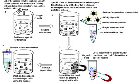 Fig. 3: Steps for bio separation [7]
