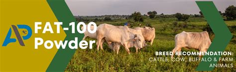 AUROUS Rumen Bypass FAT-100 Nutritional Supplement for Cow Cattle ...