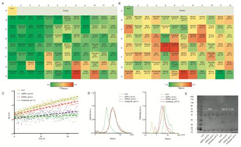 A General Small-Angle X-ray Scattering-Based Screening Protocol for ...