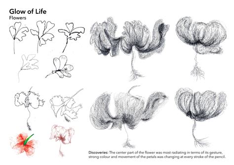 Place amidst groves | CEPT - Portfolio
