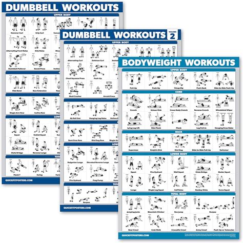Buy Palace Learning 3 Pack: Dumbbell Workouts Posters Volume 1 & 2 ...