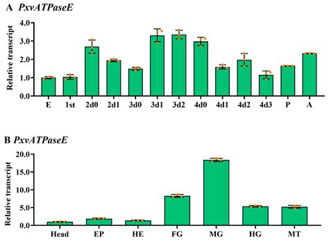 RNAi-Mediated Silencing of vATPase Subunit E Impairs Larval Development ...