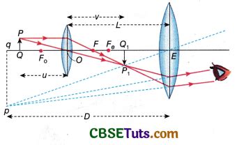 Explanation for Microscope CBSE 12 的图像结果